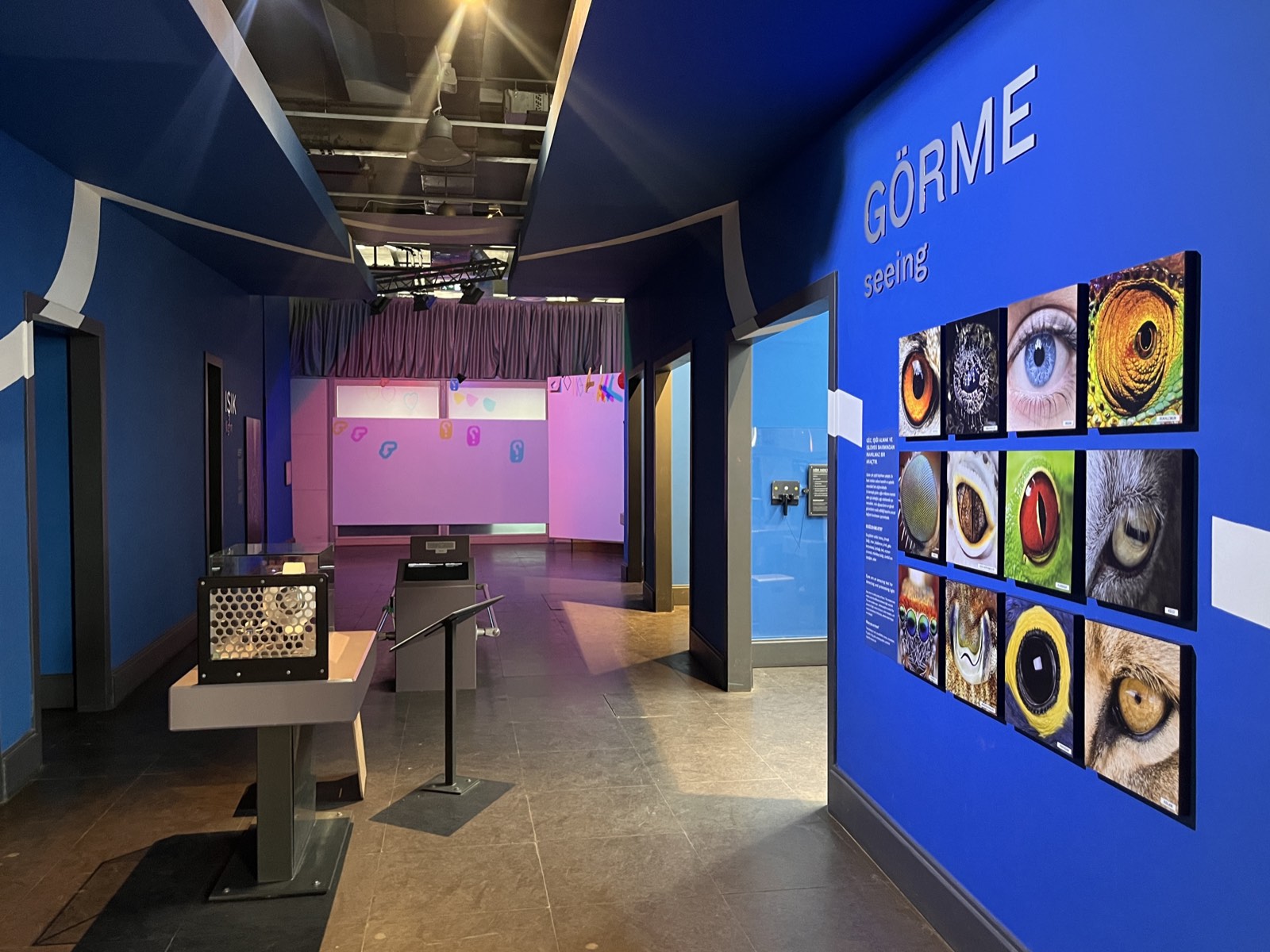 Vision and perception exhibit wall showing close-up animal and human eyes